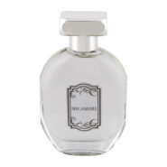 ادو پرفیوم مردانه مدل Megamare حجم 100 میلی لیتر